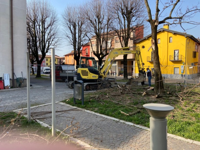 Abbattuti tre alberi per fare spazio ai parcheggi