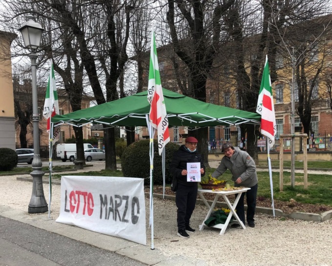 Per l’8 marzo mimose dal circolo del Pd: “Battaglia per la parità salariale”