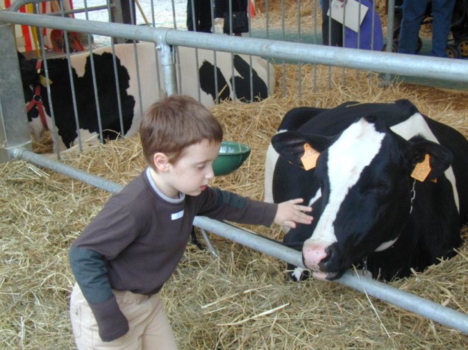 Fiera Agricola e Fiera Cavalli ripartono, finalmente: ecco il programma