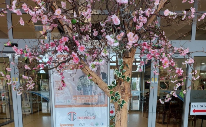 Un grande murales all’oratorio e due aiuole: al via Treviglio Green