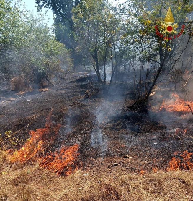 Il video della devastazione dopo l’incendio nel Parco dell’Oglio