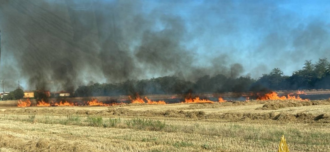 Incendio siccità sterpaglie Costa di Mezzate (1)