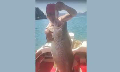 Pesca da record nel lago d'Iseo: una trota da venti chili