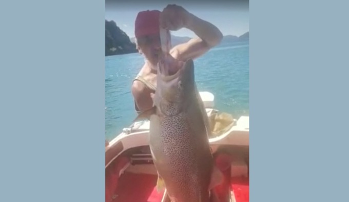 Pesca da record nel lago d’Iseo: una trota da venti chili