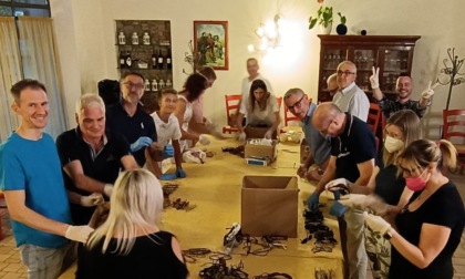 Il ruggito dei leoni  rompe le barriere dell’indifferenza