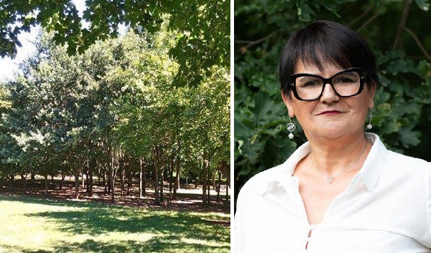 Rilloglio, “Palosco Adesso” suona la sveglia all’Amministrazione. Bocciata l’idea dell’area cani
