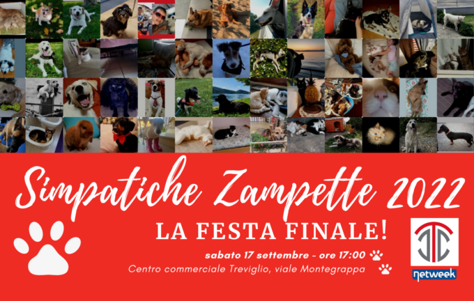 Simpatiche Zampette verso la festa finale