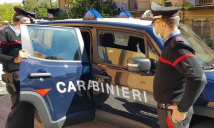 Il Capodanno antidroga dei carabinieri: blitz in campagna