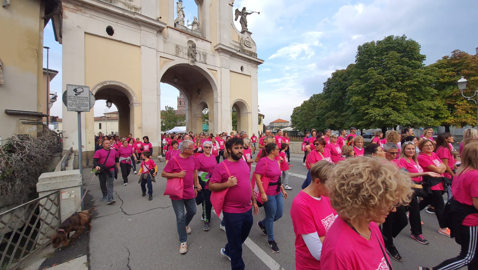 Amici di Gabri - Caravaggio cammina in rosa (7)