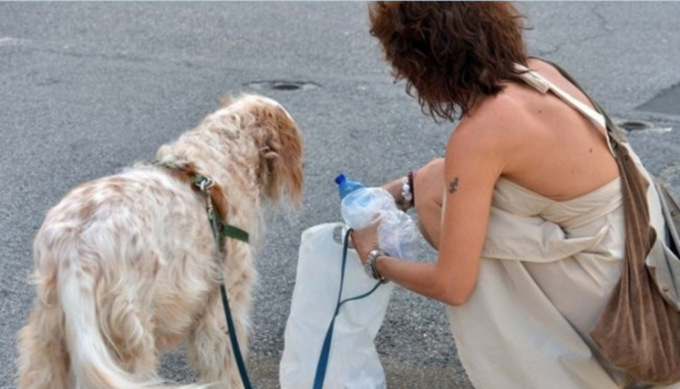 Cani e abbandono rifiuti, arriva una stretta nel Regolamento