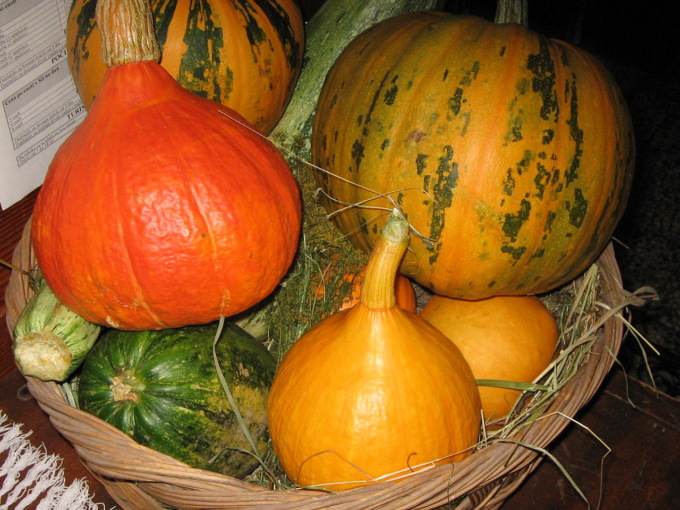 La complicata faccenda dell’IVA sulle zucche di Halloween