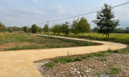 Bosco del Castagno, quasi pronto il nuovo percorso rurale