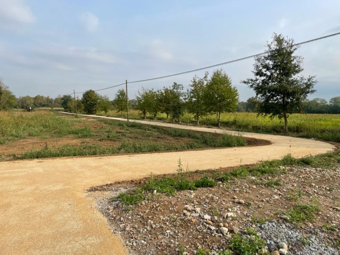 Bosco del Castagno, quasi pronto il nuovo percorso rurale
