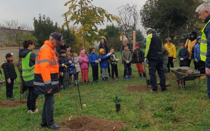 Le nuove generazioni celebrano la Giornata dell’albero