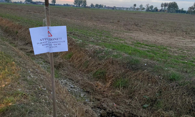 Bocconi avvelenati ad Agnadello, morto un cane un altro è in fin di vita