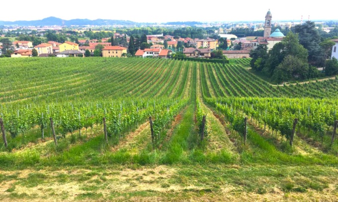 Tre vini bergamaschi premiati dalla guida Slow Wine 2023
