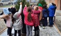 La città si veste festa, e i bambini della Merisi addobbano gli alberi di Natale