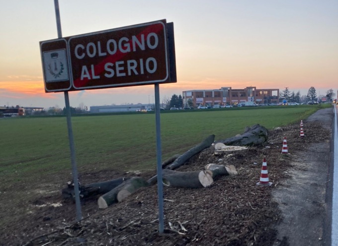Legambiente contro la Provincia: “La sicurezza stradale non è abbattere alberi sani”