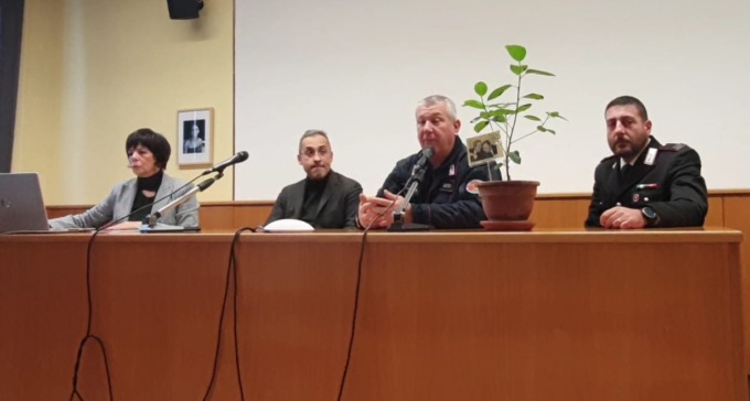 Da Palermo a Caravaggio: l’albero di Falcone crescerà al “Galilei”