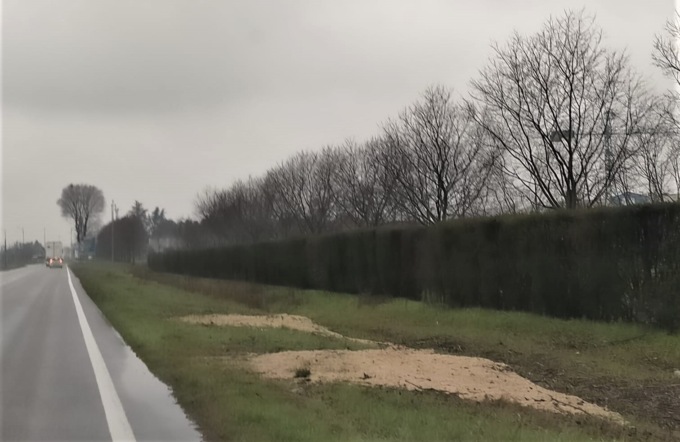 Rimossi i pericolosi ceppi rimasti lungo la Francesca dopo la strage di alberi