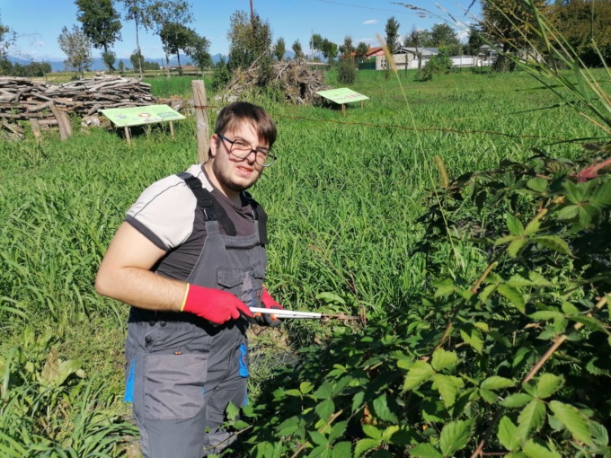 Servizio civile al Parco del Serio, aperte le candidature