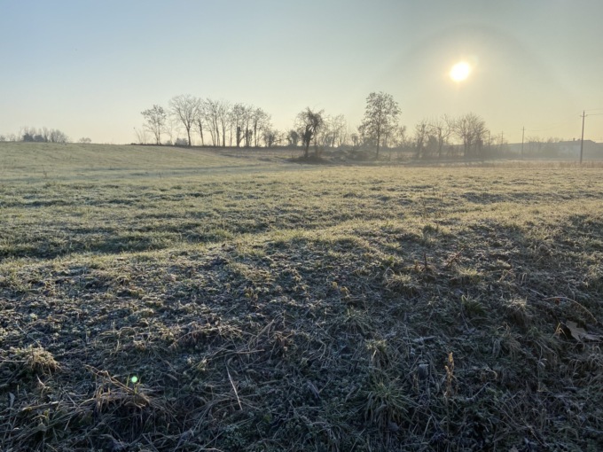 Sarà la settimana più fredda dell’anno: cielo sereno, vento e gelate notturne al Nord