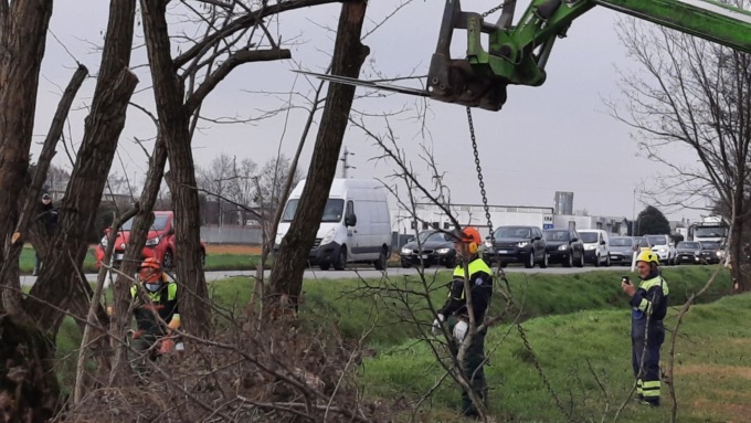 Volontari liberano  la provinciale dagli alberi pericolanti