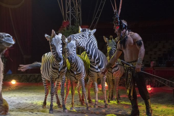 Madagascar Circus conquista Bergamo