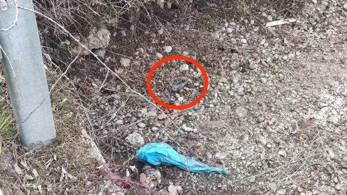 Ritrovato un ordigno bellico, circolazione interrotta tra Casirate e Calvenzano