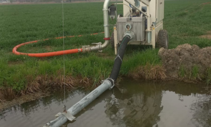 Siccità in Lombardia, c'è chi comincia a "rubare" l'acqua: sanzionato agricoltore