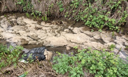 Sostanze inquinanti nella sorgiva, la denuncia: "Quelle acque finiscono nelle coltivazioni"
