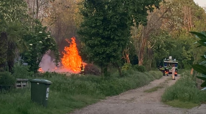 Incendio doloso al bosco dei Dossi di Badalasco