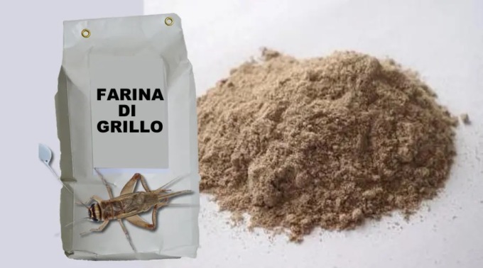 A Cologno i cracker alla farina di grillo