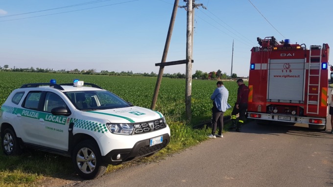 Trascinata per sette chilometri con il suo agnellino dalla corrente, pecora salvata dai pompieri