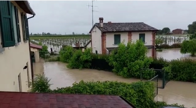 Salviamo le api di Paolo, partita la gara di solidarietà per il caravaggino
