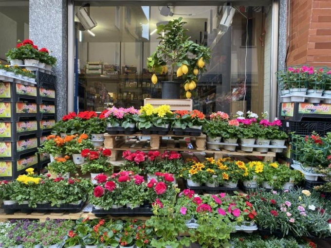 “Verde Verdellino”, con la Pro loco in paese sboccia la primavera
