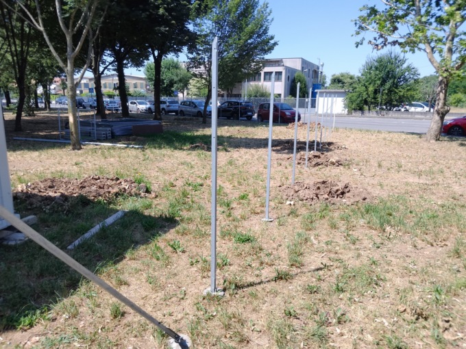 Strage di alberi per far posto all’area cani