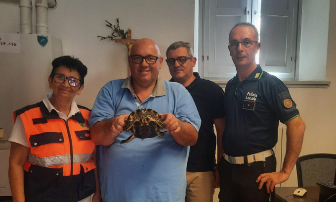 Tartaruga “a spasso” salvata dal sindaco, verrà liberata nel Parco delle Groane