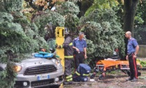Bomba d'acqua su Treviglio, ferita una donna colpita da un albero caduto sul viale
