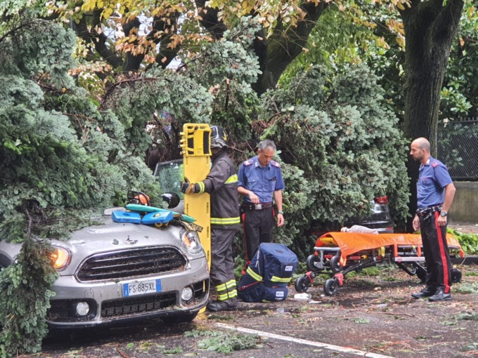 Bomba d’acqua su Treviglio, ferita una donna colpita da un albero caduto sul viale