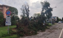 Un'altra bomba d'acqua nella notte: grandine, alberi caduti e danni nella Bassa