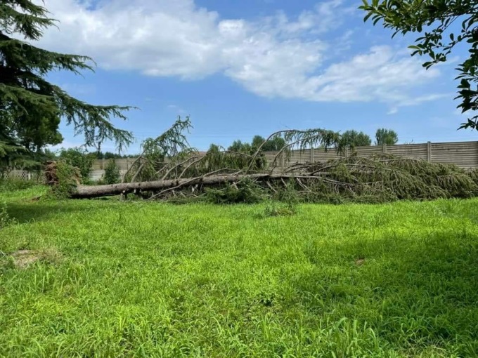 Danni al palazzetto