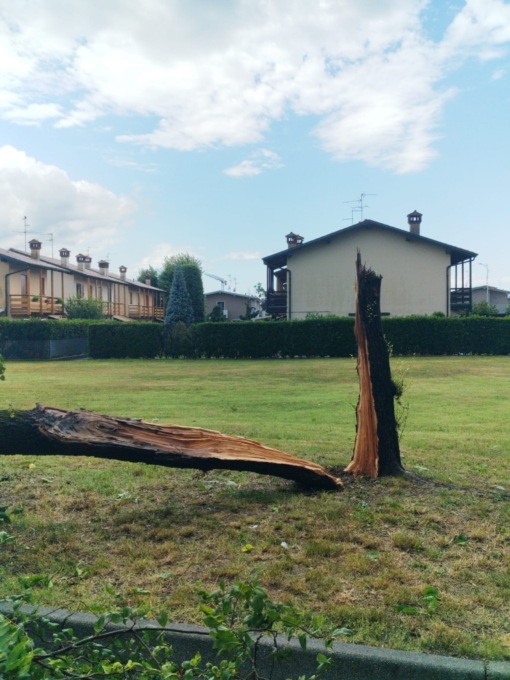 Danni al palazzetto