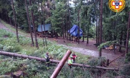Albero cade sulla tenda al campo scout: muore 16enne