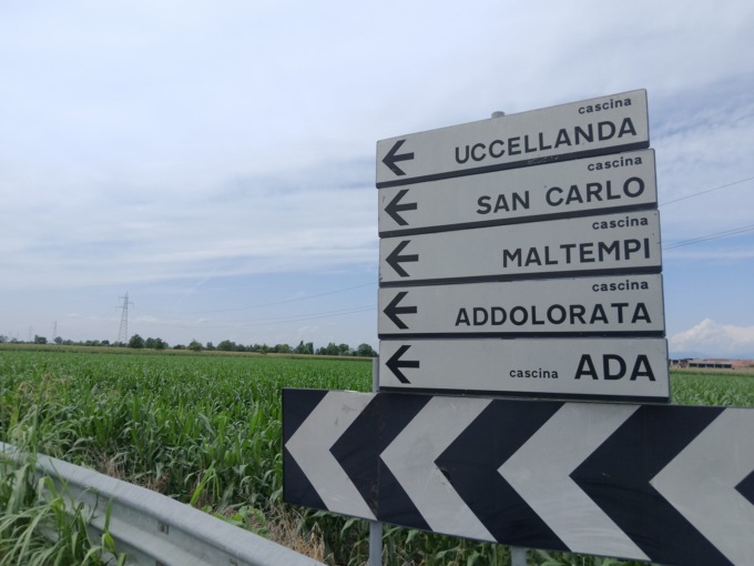 Spaccio nei campi, scatta il blitz delle Forze dell’Ordine