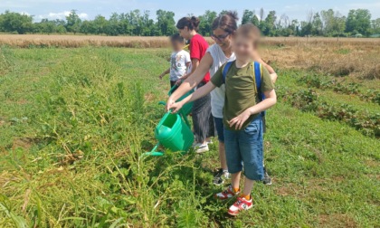 Summer Aut, nel verde di Castel Cerreto con la Scuola per lavorare nell'agroalimentare