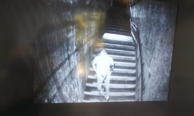 Defeca nel sottopasso, poi rompe tutte le luci: multato e denunciato