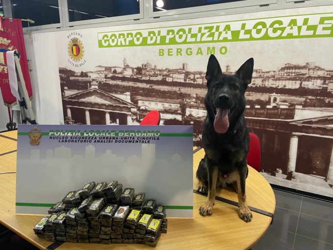 Maxi sequestro di hashish: 14kg nascosti in un cassonetto di vestiti usati