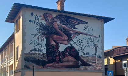 "Essere nido", il murales di Nic Alessandrini vince "Impiastreet 2023"