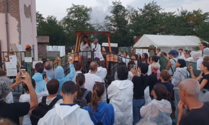 A Pavia abbattuti i suini del rifugio "Cuori Liberi"